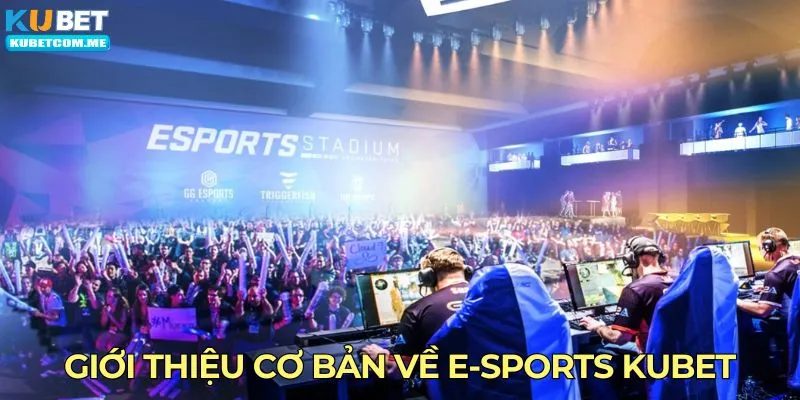 Giới thiệu cơ bản về e-sports Kubet